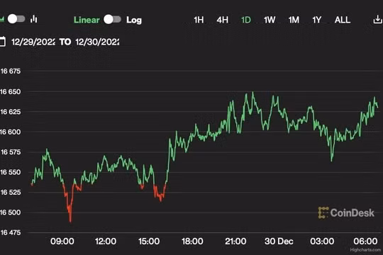 Giá Bitcoin hôm nay 30/12: Đi ngang quanh 16.600 USD