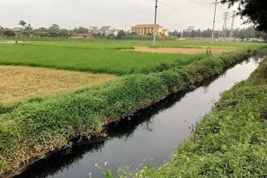 Hải Dương: Xử phạt một số doanh nghiệp vi phạm liên quan đến lĩnh vực môi trường