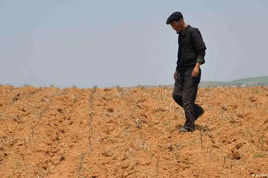 Ba bất ổn kinh tế của Triều Tiên gây ra lo ngại về nạn đói “thầm lặng”