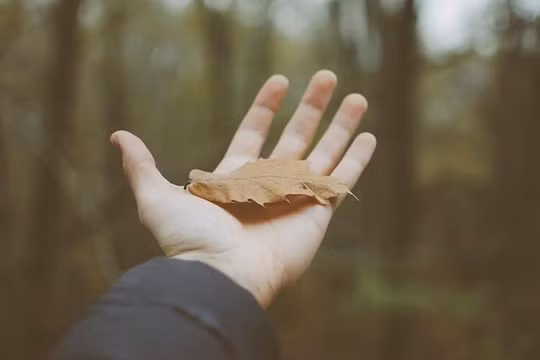 Những câu nói hay về buông bỏ để cuộc sống an nhiên
