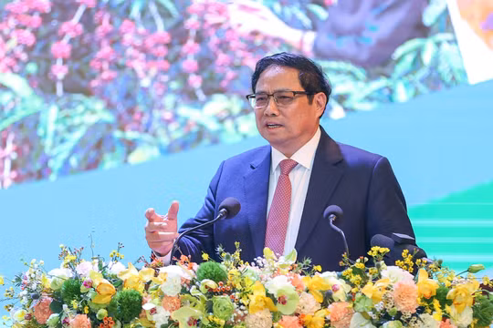 Chính phủ sẽ mạnh dạn cho các địa phương Vùng Tây Nguyên thí điểm chính sách đặc thù