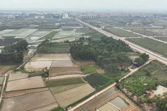 Hà Nội công khai 4 dự án bị thu hồi, bãi bỏ quyết định giao đất