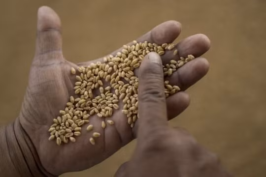 Trả nợ hay cứu dân - Lựa chọn bất khả khi của các quốc gia khủng hoảng lương thực