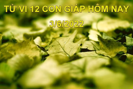 Tử vi 3/6/2022 hôm nay, thứ 6 ngày 5/5 âm lịch của 12 con giáp