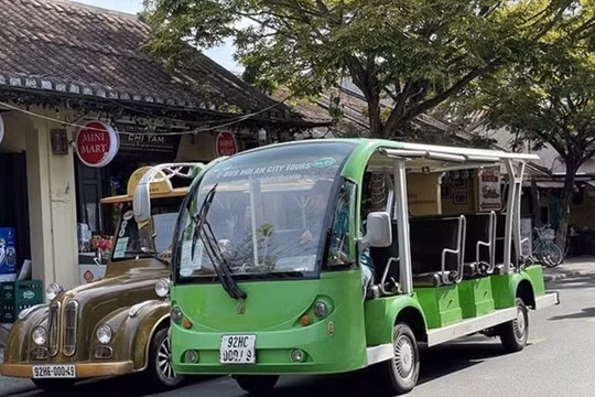Khai trừ khỏi Đảng đối với Tổng giám đốc Công ty CP Công trình công cộng Hội An
