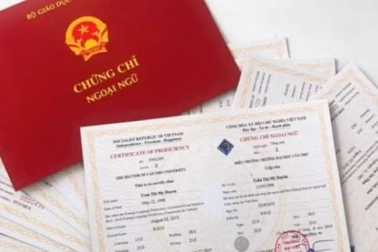 Nhiều giáo viên ở Đồng Nai dính nghi vấn sử dụng chứng chỉ ngoại ngữ, tin học không hợp pháp