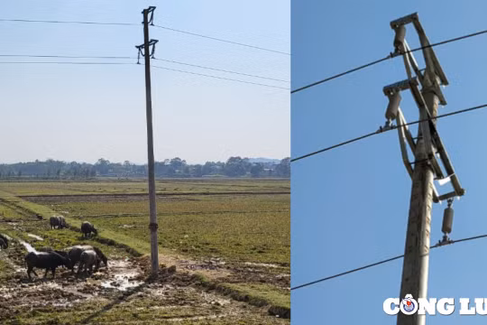 Thanh Hóa: Công an vào cuộc vụ việc người đàn ông tử vong trên cây cột điện