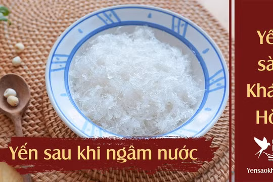 Yến sào Nha Trang LifeNest khuyến cáo 9 bí kíp chọn tổ yến “xịn”