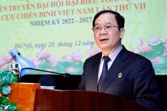 Xây dựng Hội Cựu chiến binh các cấp vững mạnh toàn diện