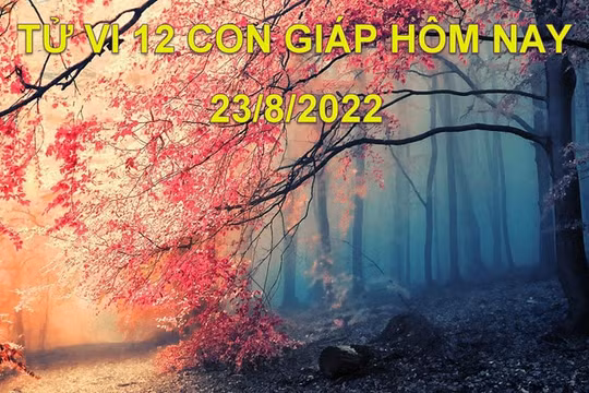 Tử vi hôm nay 23/8/2022, thứ 3 ngày 26/7 âm lịch của 12 con giáp