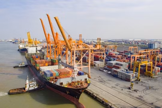 Hàng loạt khó khăn bủa vây hoạt động vận tải đường biển