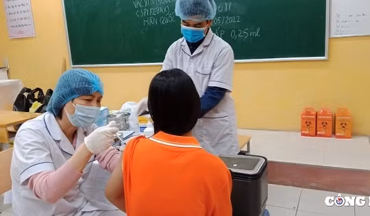 Hà Nội chưa ghi nhận trường hợp trẻ em từ 5 đến dưới 12 tuổi phản ứng sau tiêm vắc xin Covid-19