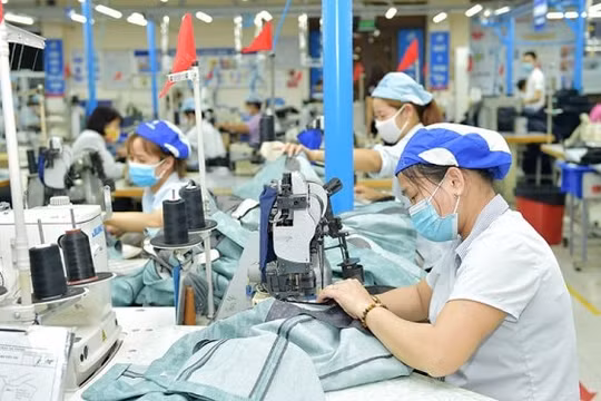 Xuất khẩu dệt may quý I đạt kỷ lục