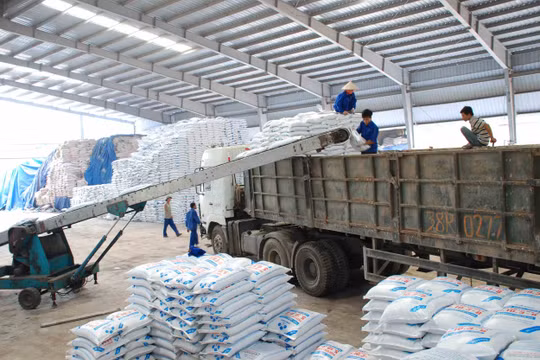 Xuất khẩu phân bón tăng mạnh