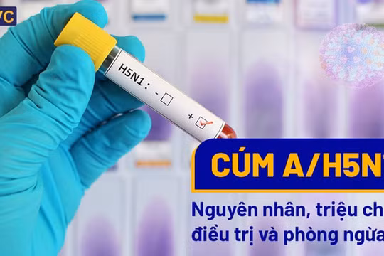 Bộ Y tế thông tin về ca bệnh cúm gà trên người đầu tiên sau 8 năm