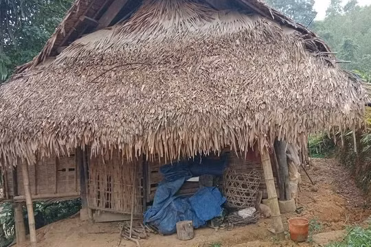 3 cha con ngộ độc nặng vì ăn nhầm trứng cóc