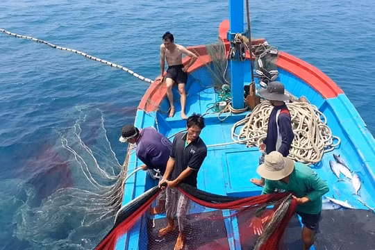Nỗ lực gỡ “thẻ vàng” của EC: Xây dựng nghề cá có trách nhiệm, bền vững
