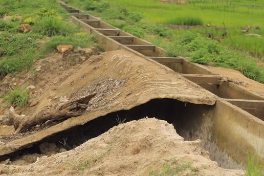 Cấm 1 doanh nghiệp tham gia đấu thầu trong 3 năm tại Gia Lai