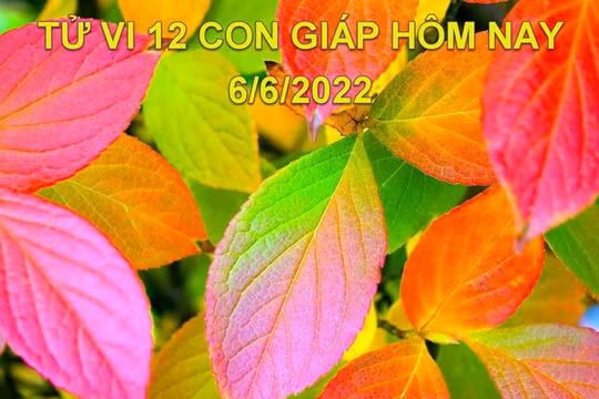 Tử vi 6/6/2022 hôm nay, thứ 2 ngày 8/5 âm lịch của 12 con giáp