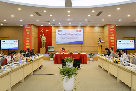 Thúc đẩy hợp tác trong thương mại, đầu tư giữa cộng đồng doanh nghiệp Việt Nam - Mozambique