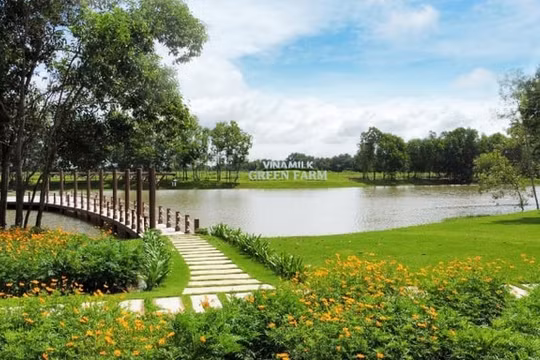 Mô hình phát triển bền vững "Vinamilk Green Farm" được chia sẻ tại hội nghị sữa toàn cầu