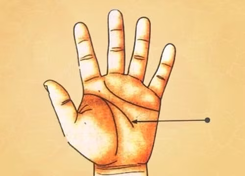 Người thông minh, tài giỏi có đường chỉ tay Trí tuệ như thế nào?
