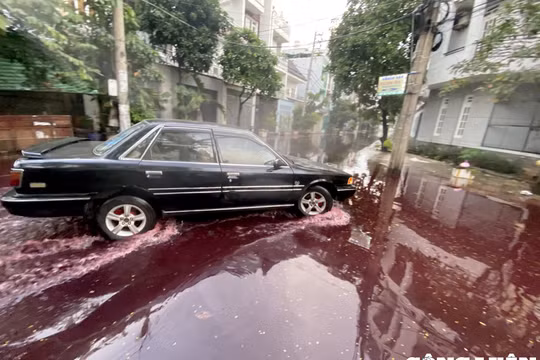 Hai con đường ở TP HCM bị 'nhuộm' đỏ ngầu sau mưa lớn gây ngập