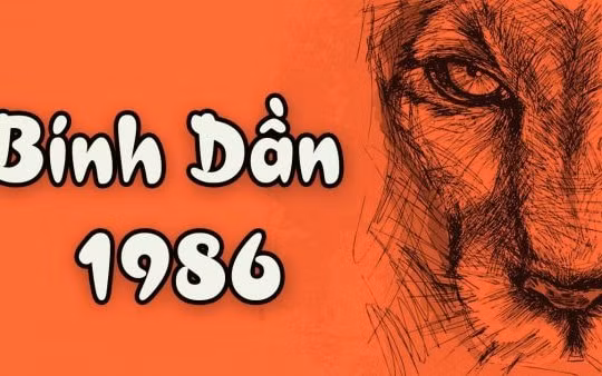 Phong thuỷ bếp tuổi Bính Dần 1998 mang lại sức khoẻ, tài lộc