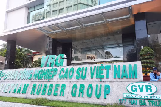 Công nghiệp Cao su Việt Nam (GVR) lợi nhuận giảm 35%, lãnh đạo chỉ dám mua 5% lượng đăng ký