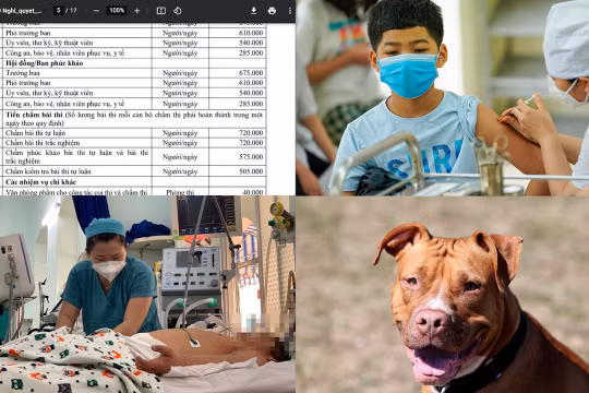 Nóng 18h: Chấm thi TP.HCM trả 1,2 triệu/ngày, Bình Phước chỉ 271.000, Sở Giáo dục và Đào tạo nói gì?