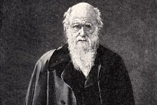 Bản thảo có chữ ký của Darwin được bán đấu giá gần 900.000 USD