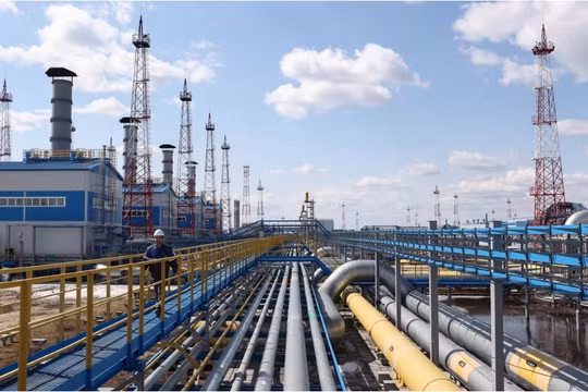 Nga muốn đẩy mạnh xuất khẩu nông sản sang Trung Quốc