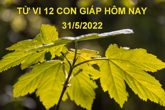 Tử vi 31/5/2022 hôm nay, thứ 3 ngày 2/5 âm lịch của 12 con giáp