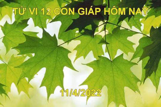 Tử vi 11/4/2022 hôm nay thứ 2 ngày 11/3 âm lịch của 12 con giáp