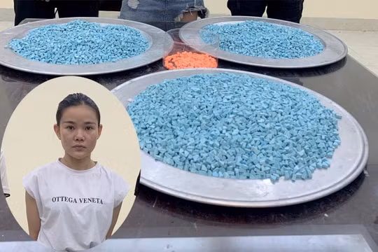 Dùng giấy tờ giả nhận hơn 7kg ma tuý từ CHLB Đức về Việt Nam tiêu thụ