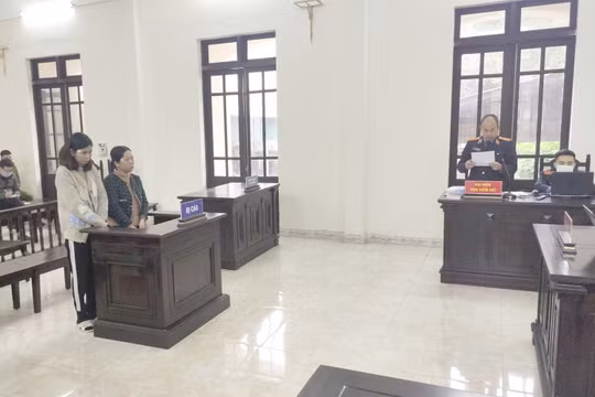 11 năm tù cho 2 đối tượng làm giả sổ đỏ lừa bán cho nhiều người