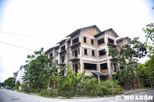 Cận cảnh khu đô thị sinh thái Xuân Phương (Foresa Villa) bỏ hoang