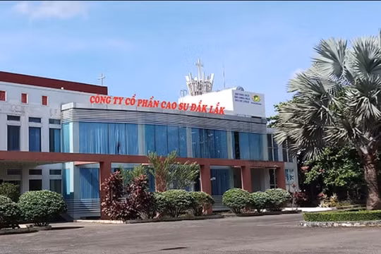 Cao su Đắk Lắk (DRI) ghi nhận lợi nhuận Quý II sụt giảm tới 87%