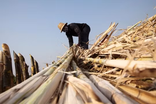 Ngành đường bất lực trước nghi vấn đường nhập lậu Thái Lan "quá cảnh" qua các nước ASEAN