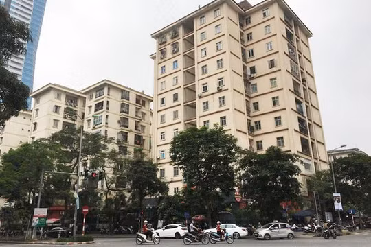 Đẩy nhanh tiến độ đấu giá quyền sử dụng đất và quản lý quỹ nhà tái định cư