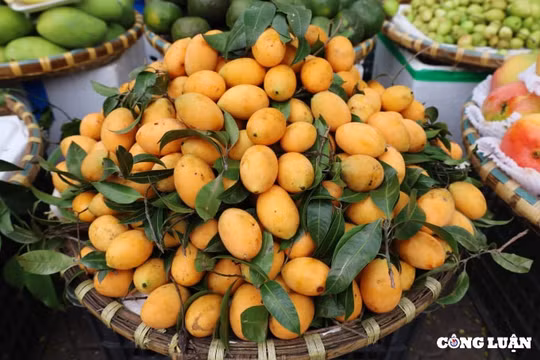 Thanh trà đầu mùa giá rẻ những vẫn “ế” khách
