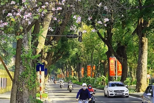 Dự báo thời tiết 6/11: Bắc Bộ đêm và sáng sớm trời rét