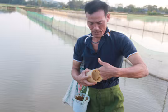 Độc đáo cách “thu phục” loài bò ngang bằng cốc nhựa