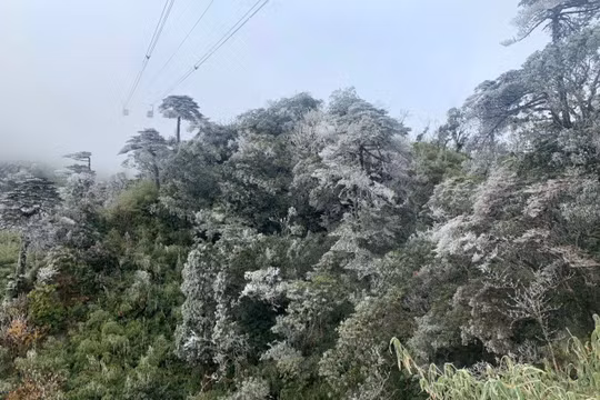 Sa Pa lạnh 2 độ C, sương muối phủ trắng núi Hoàng Liên