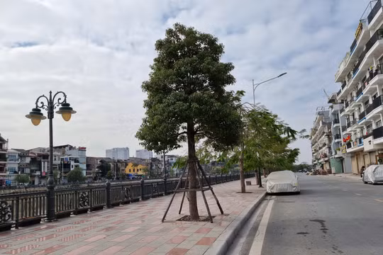Hải Phòng: Dự chi 572 tỷ đồng lát đá vỉa hè trên nhiều tuyến phố