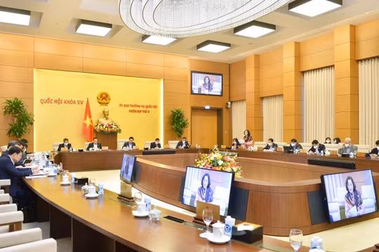Cân nhắc việc giao cho Ban Công tác đại biểu nhiều nhiệm vụ liên quan nhân sự của Văn phòng Quốc hội