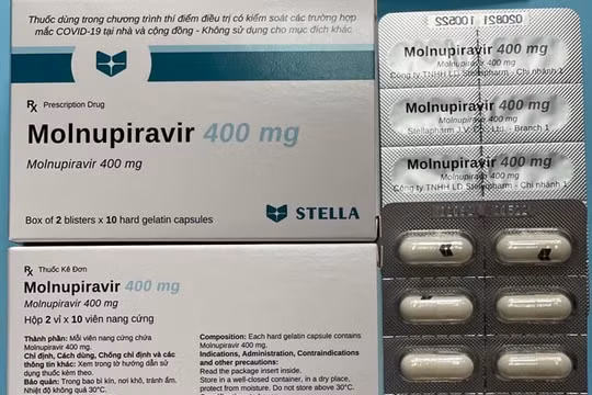 Xem xét cấp số đăng ký 4 loại thuốc chứa hoạt chất Molnupiravir