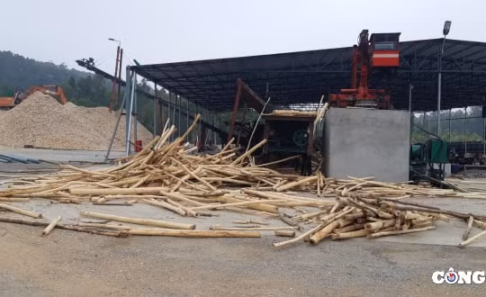 Công ty TNHH Phát triển Đông Hồi bị xử phạt hơn 1 tỷ đồng