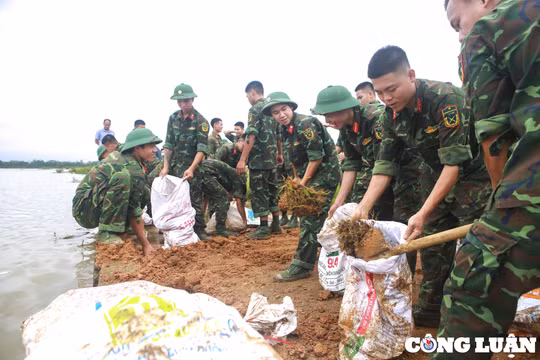 Hà Nội: Quân đội cùng nhân dân chung tay chống lũ, bảo vệ lúa xuân