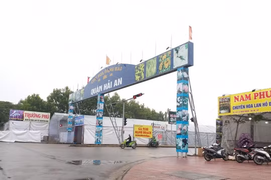 Hải Phòng tổ chức 18 điểm Chợ hoa Xuân năm 2022